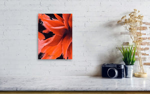Orange Flair #18 Canvas Wall Art - UV-Proof Ink, Solid Wood Stretcher Bars, Matte Finish, Mounting Brackets Included