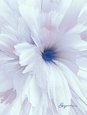 a close up of a white flower with a blue center