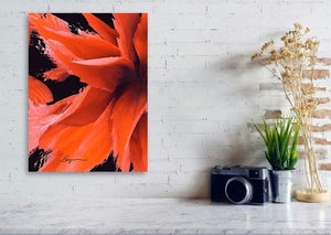 a picture of a red flower on a white brick wall